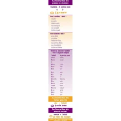 Flat River Group Poster Pals French Verb Conjugation Reference Bookmarks - 64 Pack*Kids Kids Books