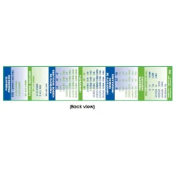 Flat River Group Poster Pals Spanish Verb Conjugation & Vocabulary Bookmarks, 32-Pack*Kids Kids Books