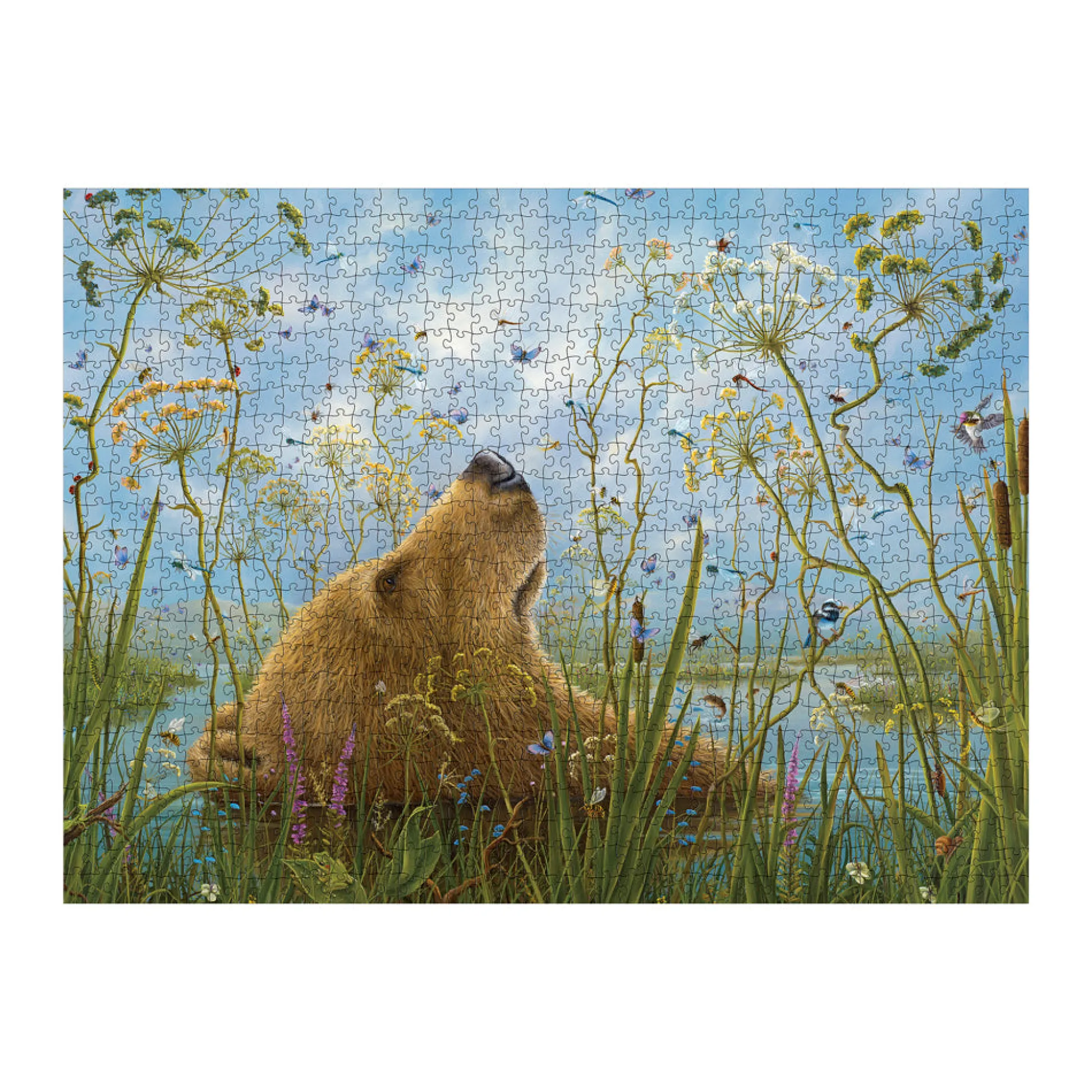 AreYouGame Robert Bissell The Whole World 1000-Piece Jigsaw Puzzle* Puzzles