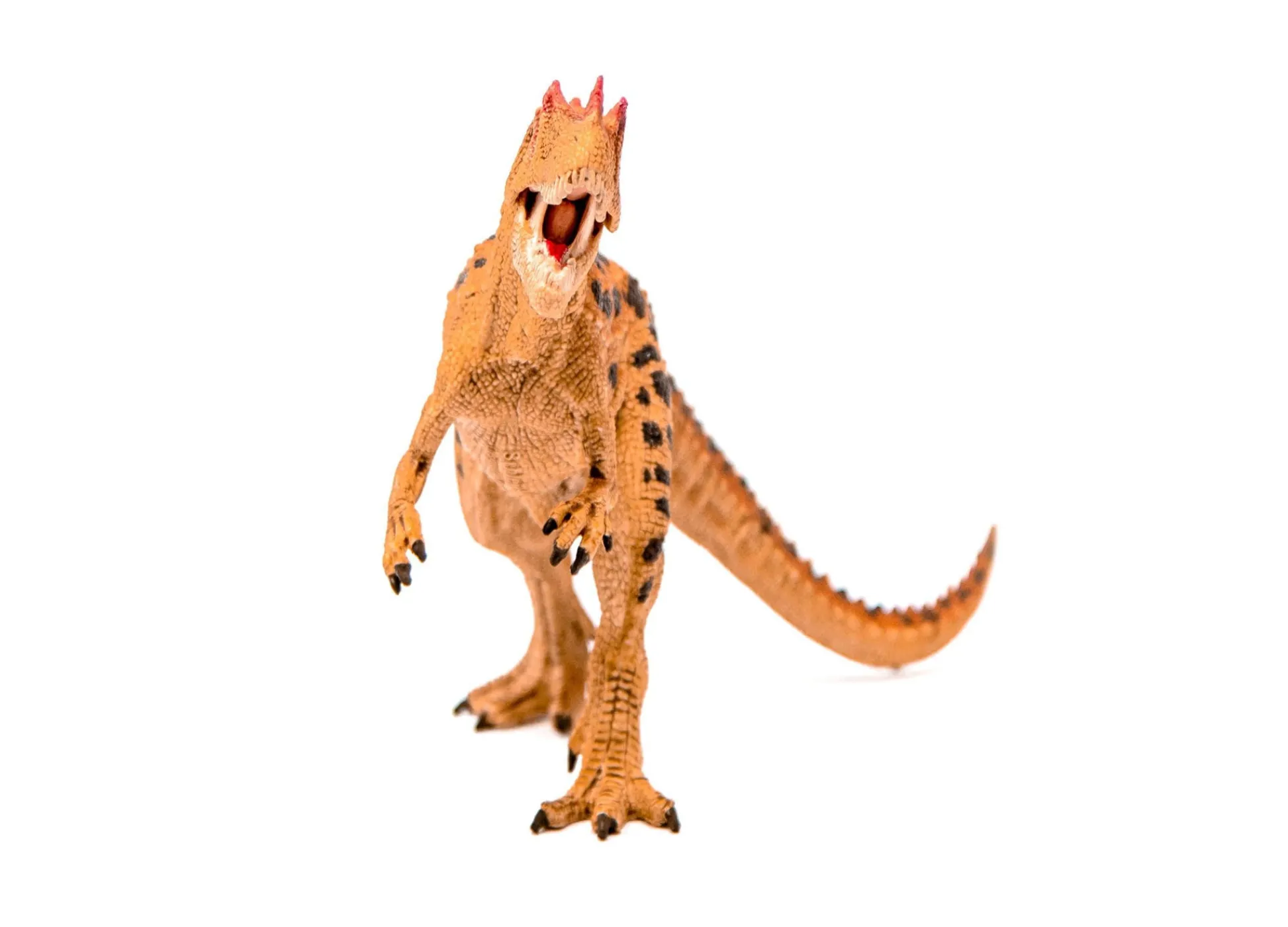 Flat River Group Schleich DINOSAURS Ceratosaurus Detailed Action Figure* Action Figures