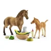 Flat River Group Schleich Horse Club: Sarah's Baby Animal Care 9-Piece Playset for Kids Age 5+* Animal Figures|Dress Up
