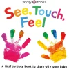 Readerlink Distribution Services SEE, TOUCH, FEEL: Sensory Adventure Board Book*Kids Reading, Writing & Speech|Kids Books