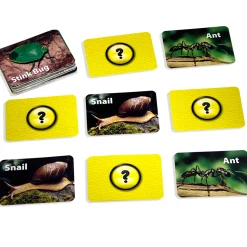 Educators Resource Stages Learning Materials - Memory Matching Game - Insects & Bugs - 3 Pack* Toddler & Preschool Games & Puzzles