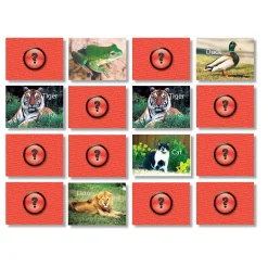 Educators Resource Stages Learning Materials - Animal Photographic Memory Matching Game - Pack of 3* Card Games