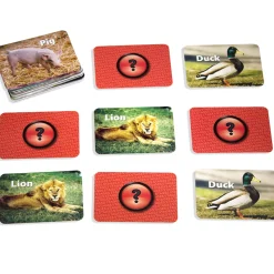 Educators Resource Stages Learning Materials - Animal Photographic Memory Matching Game - Pack of 3* Card Games