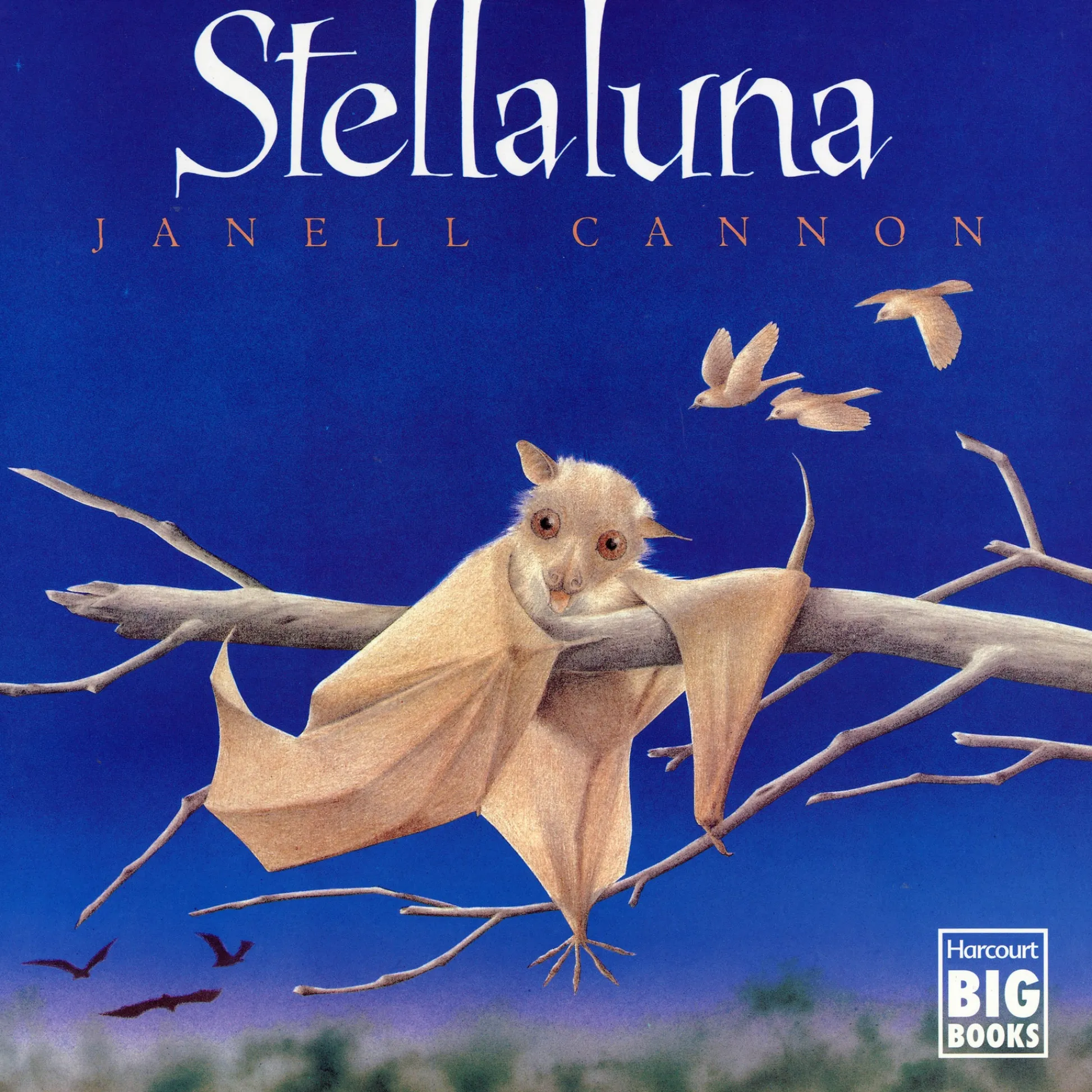 Educators Resource Stellaluna Big Book - Hardcover Edition by Janell Cannon*Kids Kids Books|Coloring Books & Activity Books