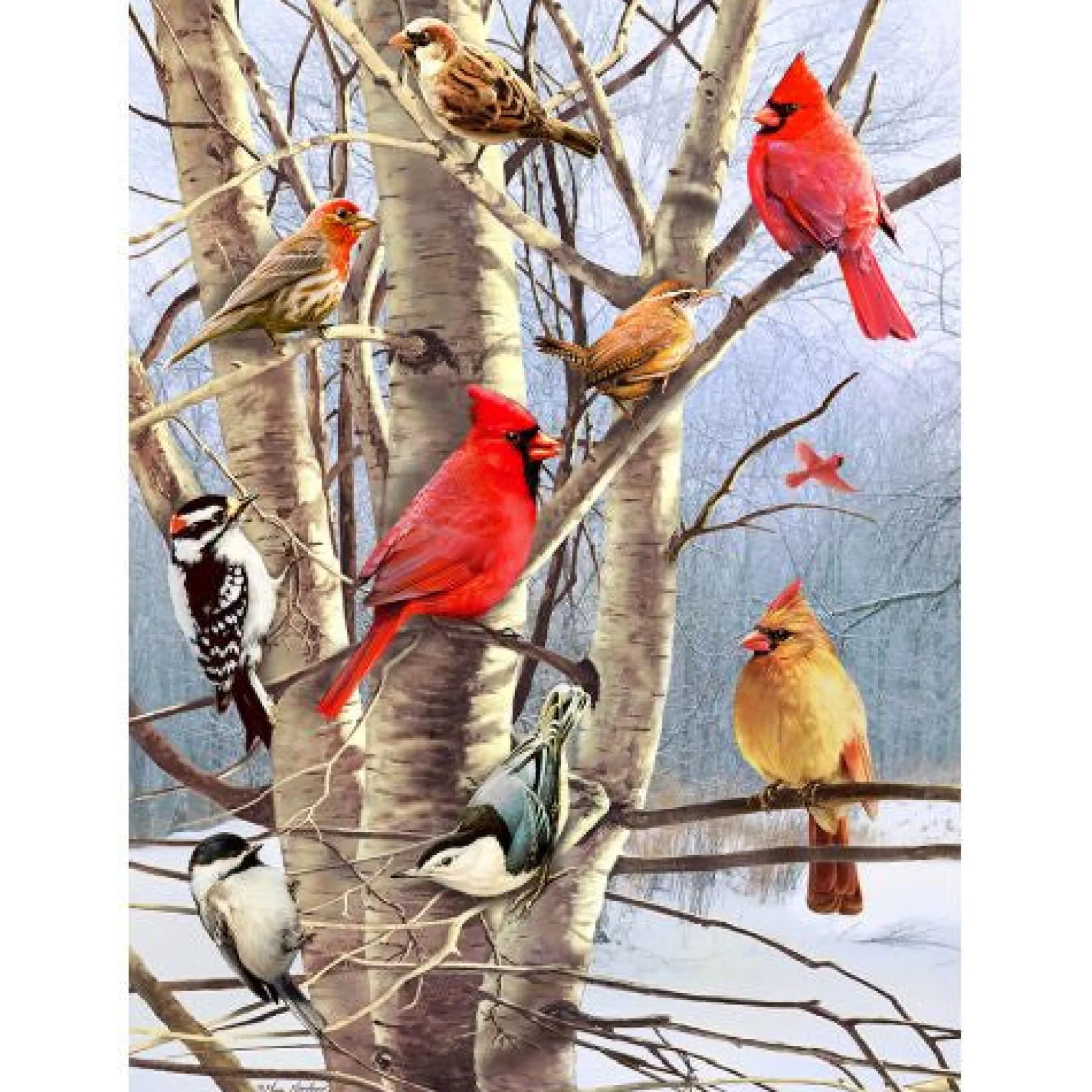 Calendar Holdings, LLC Susan Winget Winter Birds Christmas Jigsaw Puzzle - 1000 pc* Puzzles