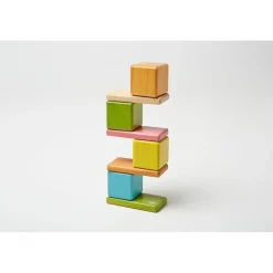 Educators Resource Tegu 8-Piece Magnetic Wooden Block Set - Pocket Pouch, Tints* Magnetic Tiles & Building Sets