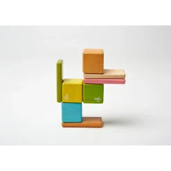 Educators Resource Tegu 8-Piece Magnetic Wooden Block Set - Pocket Pouch, Tints* Magnetic Tiles & Building Sets