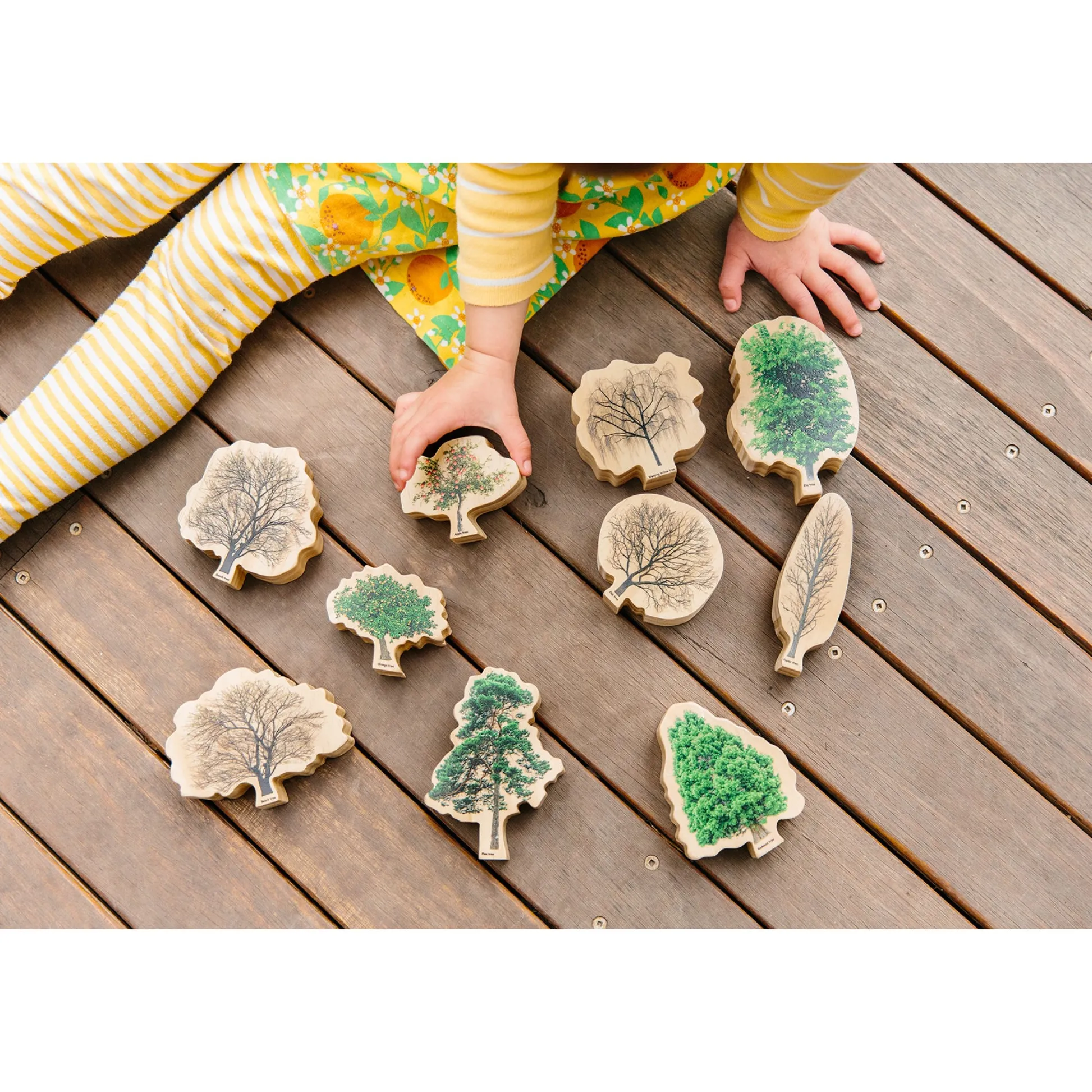 Educators Resource The Freckled Frog Seasons Wooden Trees - Educational Block Set* Preschool Building Sets & Blocks|Social & Emotional Skills