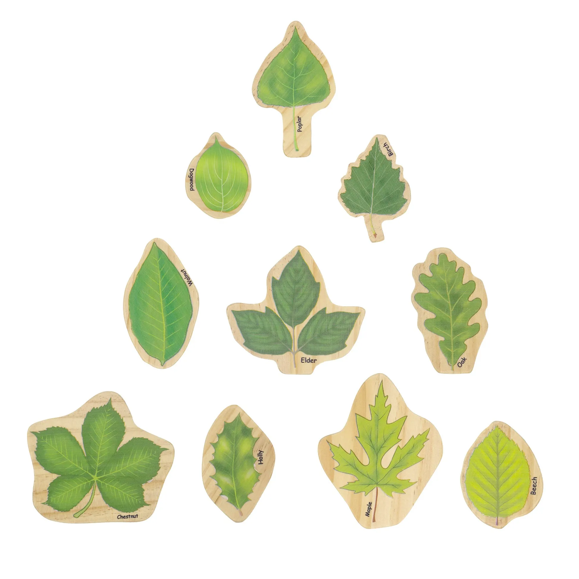 Educators Resource The Freckled Frog Stacking Leaves - Educational Wooden Block Set* Preschool Building Sets & Blocks|Preschool Education Toys & Activities