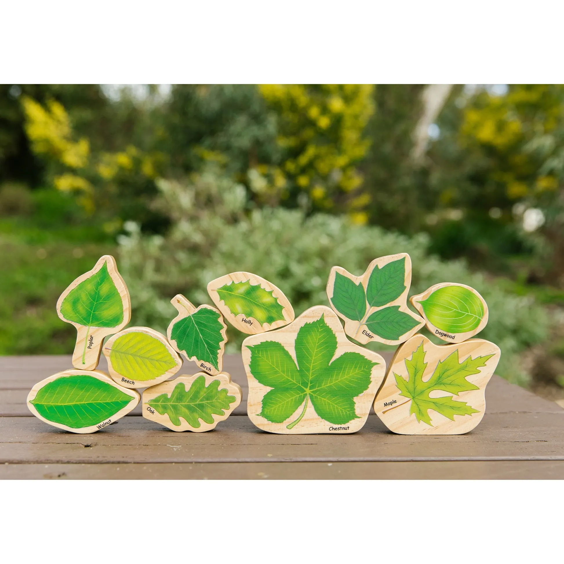 Educators Resource The Freckled Frog Stacking Leaves - Educational Wooden Block Set* Preschool Building Sets & Blocks|Preschool Education Toys & Activities
