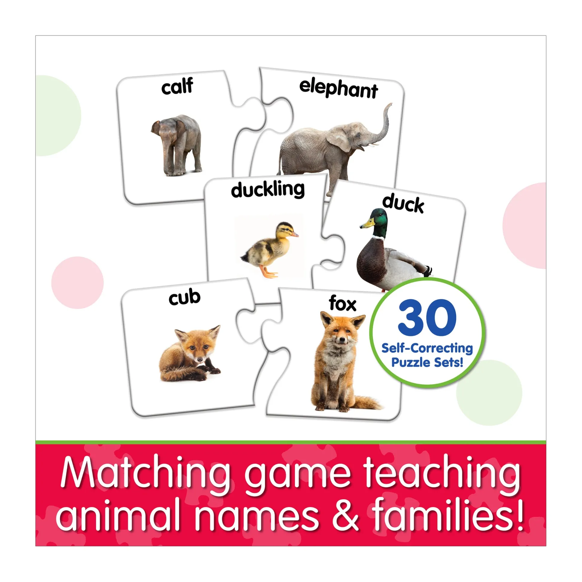 AreYouGame The Learning Journey Match It! - Animal Families - Educational Puzzle Game* Puzzles