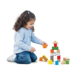 Educators Resource The Original Toy Company 50-Piece Wooden Blocks Set - Multicolor* Wood & Jumbo Blocks