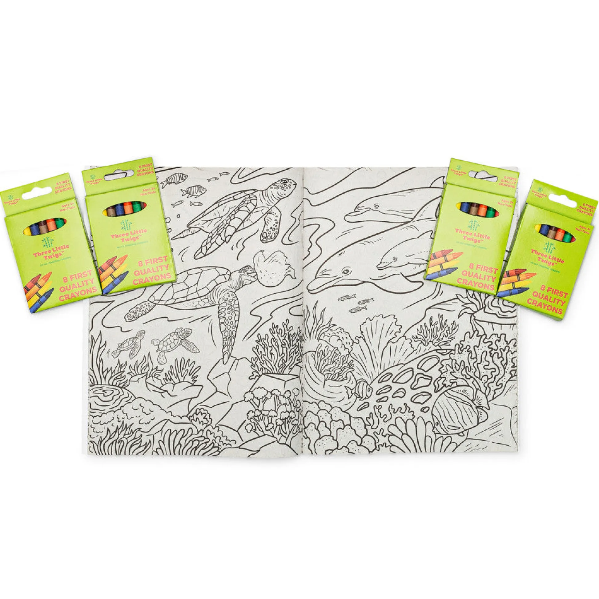 Flat River Group Three Little Twigs Animals of the World Coloring Book Set - 16pc Bundle*Kids Kids Books|Boxed Book Sets