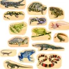 Educators Resource TickiT Wooden Reptile & Amphibian Blocks - 15-Piece Set* Wood & Jumbo Blocks