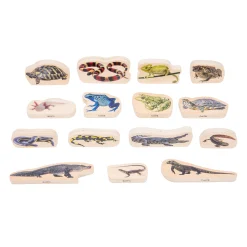 Educators Resource TickiT Wooden Reptile & Amphibian Blocks - 15-Piece Set* Wood & Jumbo Blocks