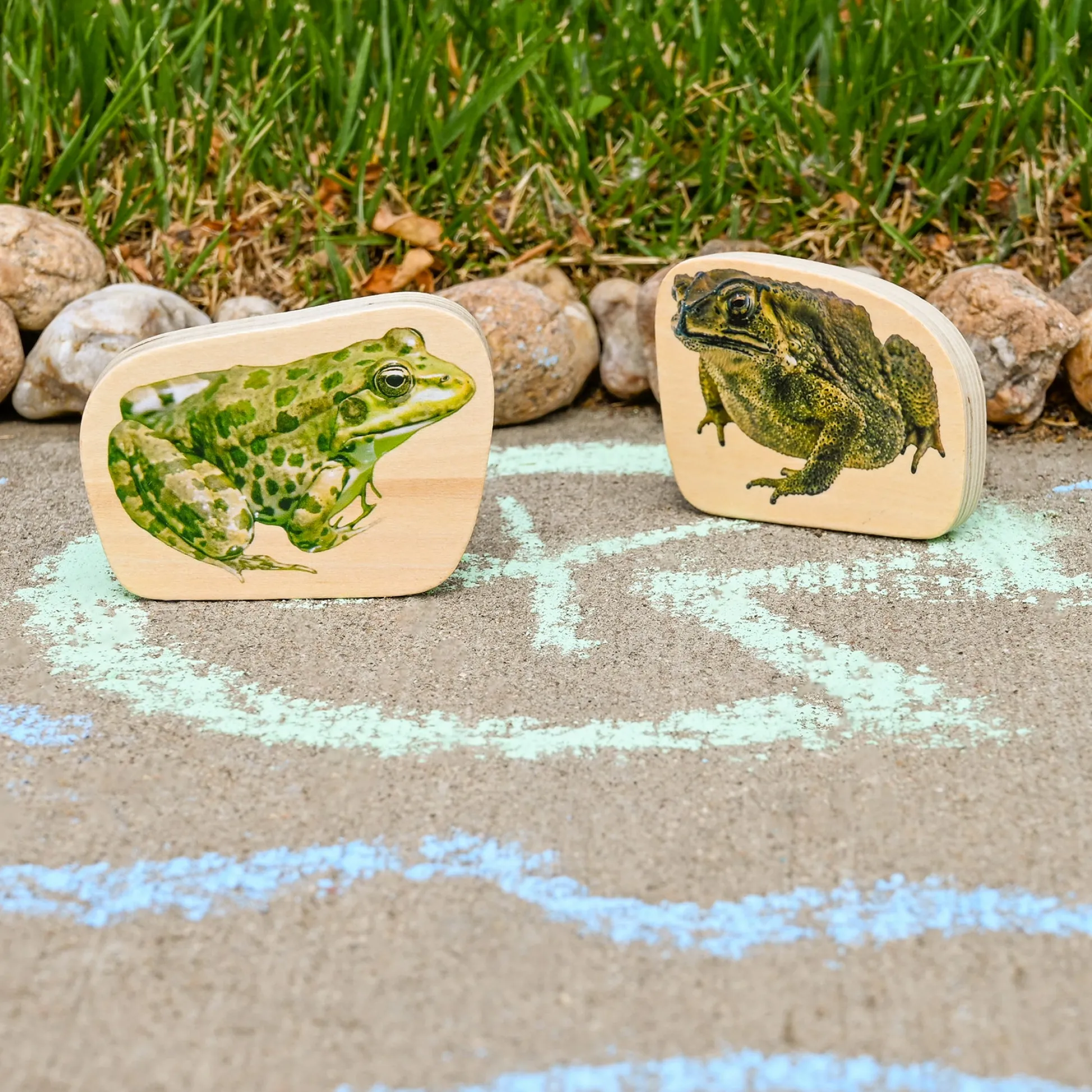 Educators Resource TickiT Wooden Reptile & Amphibian Blocks - 15-Piece Set* Wood & Jumbo Blocks