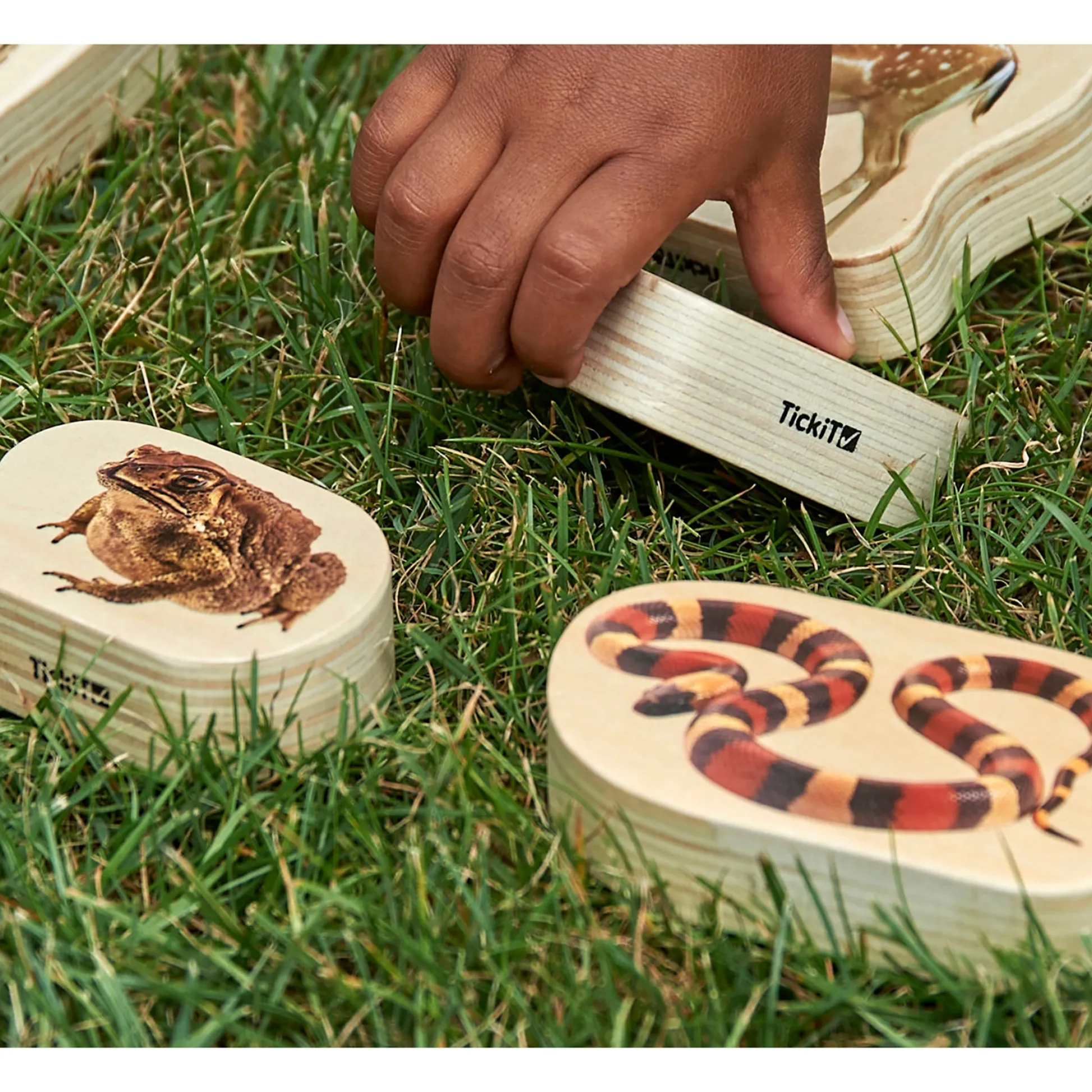 Educators Resource TickiT Wooden Reptile & Amphibian Blocks - 15-Piece Set* Wood & Jumbo Blocks