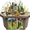 AreYouGame Toys By Nature Desert Biosphere Terrarium Kit - Complete Cacti & Succulent Grow Set* Science Toys