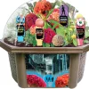 AreYouGame Toys By Nature Zombie Apocalypse Biosphere Terrarium Kit ‚Äì House of Horrors* Crafts & Activities