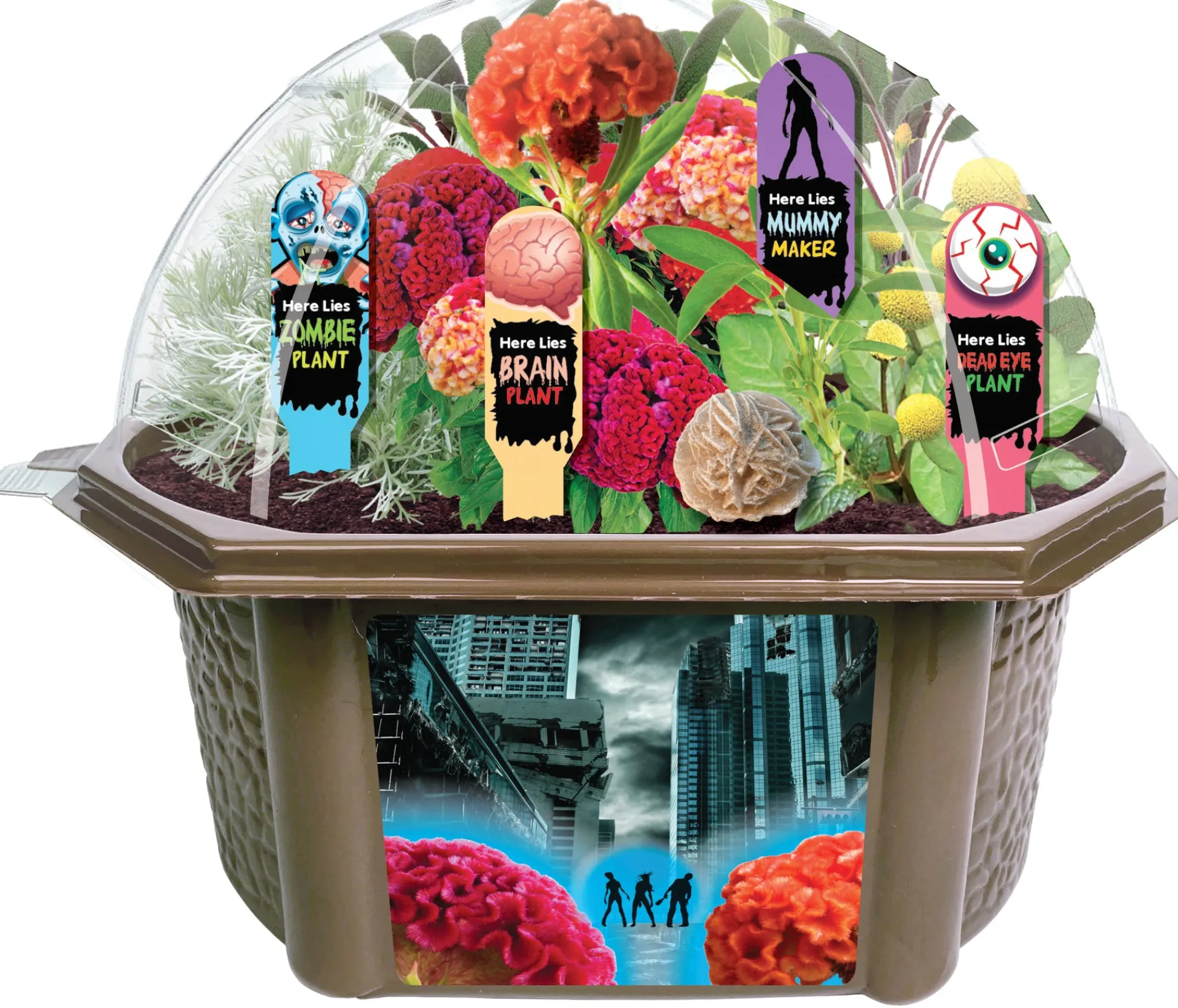 AreYouGame Toys By Nature Zombie Apocalypse Biosphere Terrarium Kit – House of Horrors* Crafts & Activities