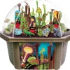 The Distribution Solutions Toys R Us Culinary Herb Collection - Homegrown Flavors Kit* Kitchens & Play Food|Dress Up