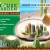The Distribution Solutions Toys R Us Desert Mouse Cacti Terrarium Kit* Clay, Dough & Sand Art