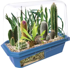 The Distribution Solutions Toys R Us Desert Plant Collection Science Kit ‚Äì Lush Oasis* Science & Discovery