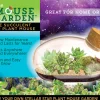 The Distribution Solutions Toys R Us The Succulent Star Mouse Miniature Garden Kit* Crafts & Activities