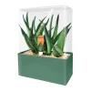 AreYouGame Unique Gardener Altruistic Aloe Seed Square Terrarium Kit* Science & Discovery