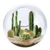 AreYouGame Unique Gardener Mini Desert Glass Terrarium Kit - Wild West Cactus Edition* Clay, Dough & Sand Art
