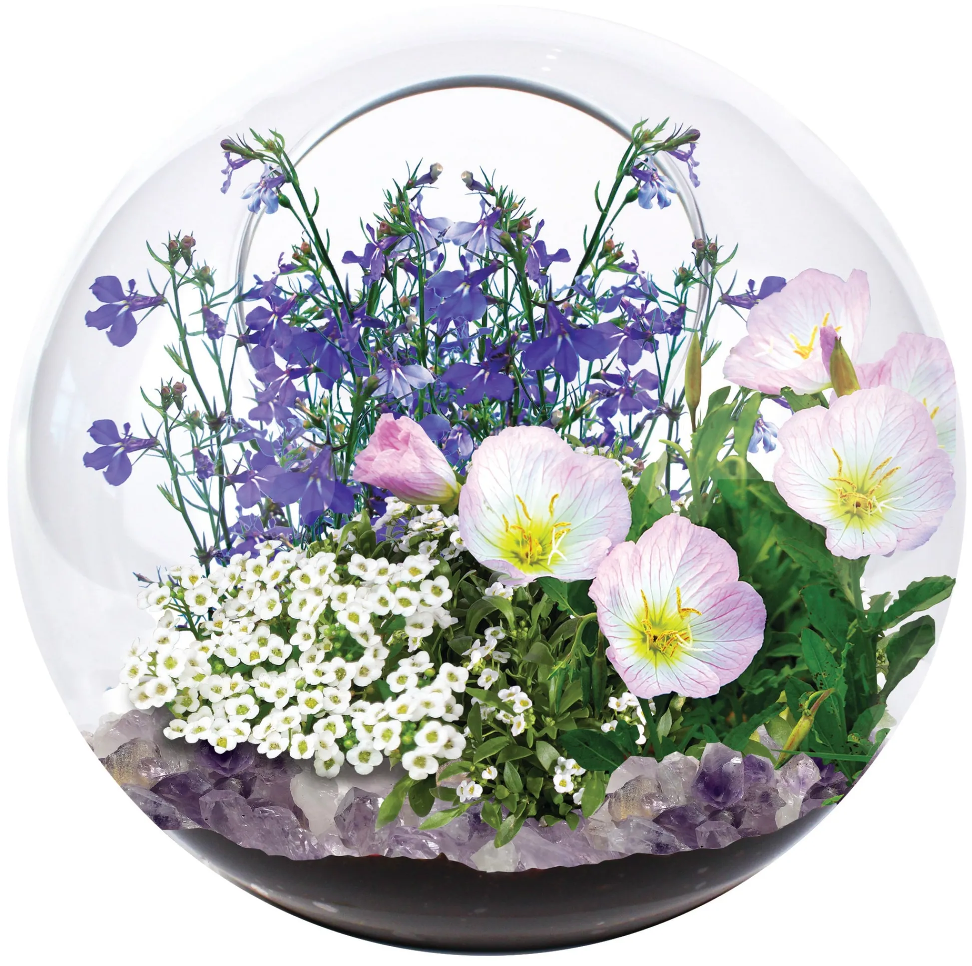 AreYouGame Unique Gardener Mini Fairy Triad Glass Terrarium Kit* Crafts & Activities