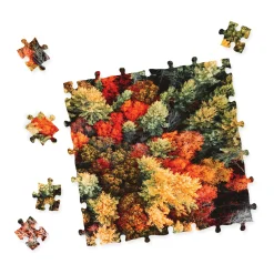 AreYouGame University Games Impossibles Puzzle - Falling for Fall: 1000 Pcs* Puzzles