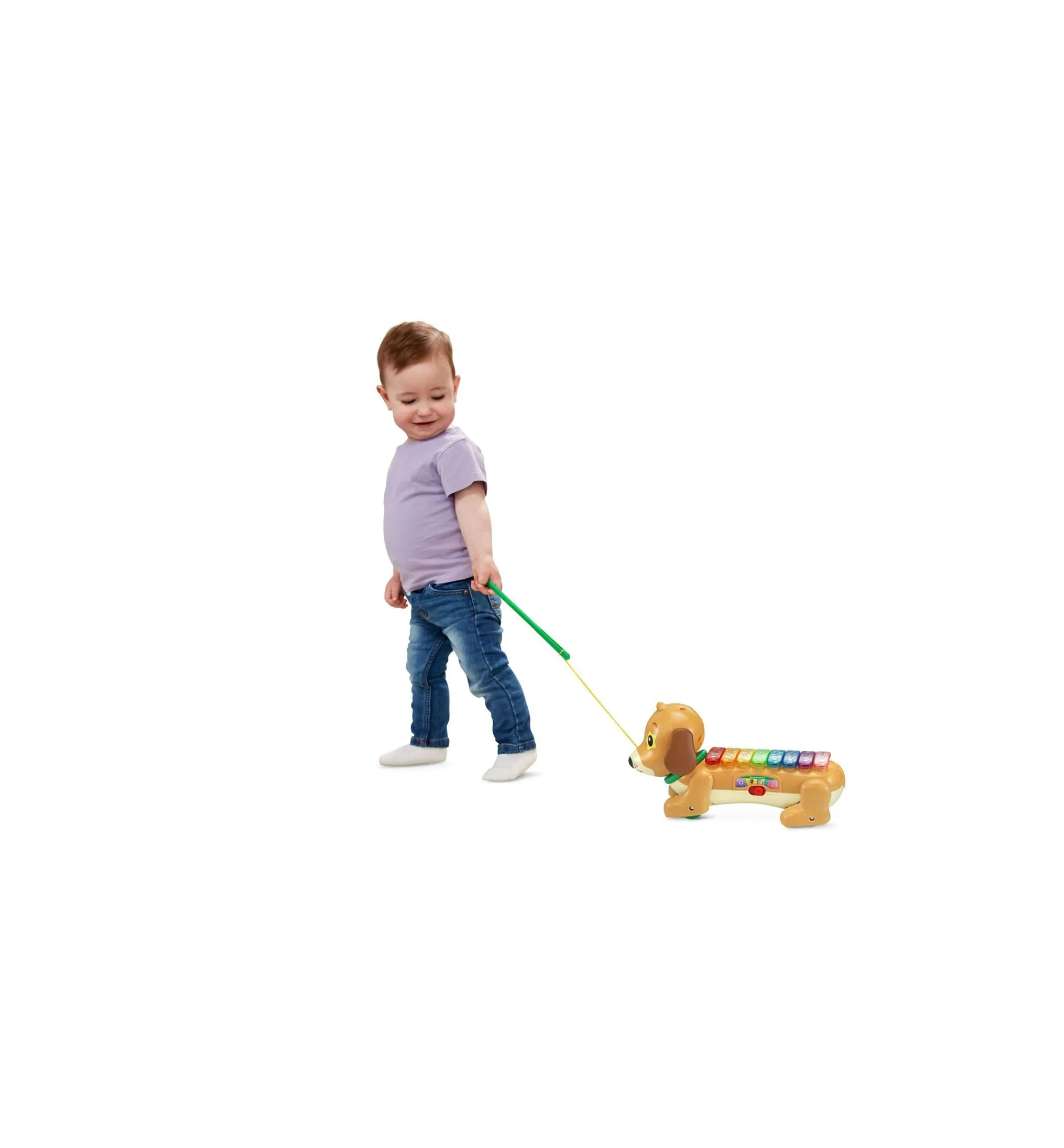 Macy's - Supplier VTech Zoo Jamz Colorful Doggy Xylophone Musical Toy* Preschool Education Toys & Activities