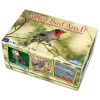 AreYouGame What Bird Am I? Bird Identification Strategy Game* Board Games|Role-Playing Games