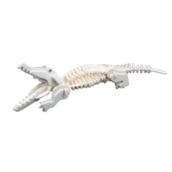 Educators Resource Wild Environmental Science Extreme Crocodiles Kit - Craft & Learn About Crocodiles* Crafts & Activities
