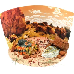 Educators Resource Wild Environmental Science Extreme Spiders Kit - Educational Spider Model Set* Science & Discovery
