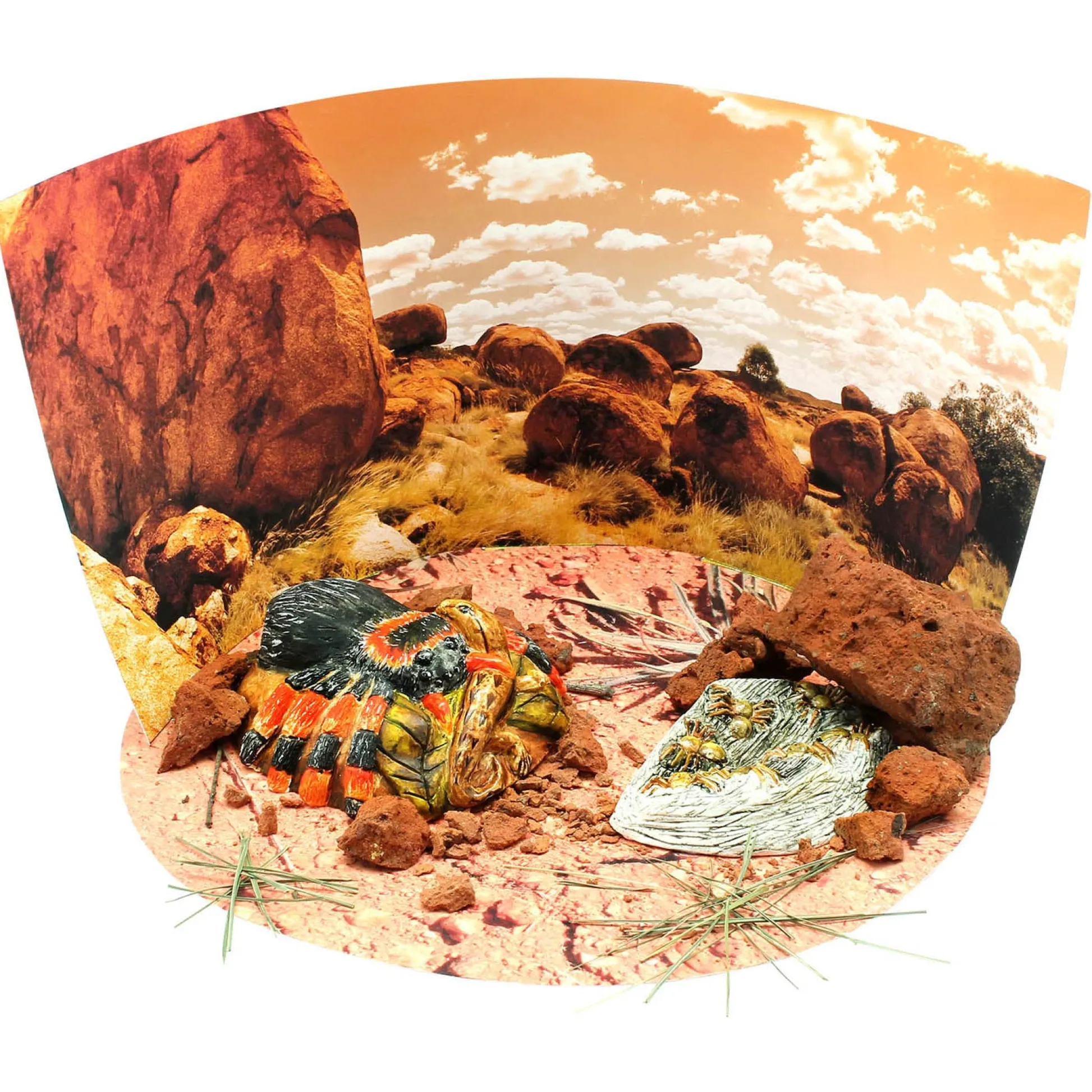 Educators Resource Wild Environmental Science Extreme Spiders Kit - Educational Spider Model Set* Science & Discovery
