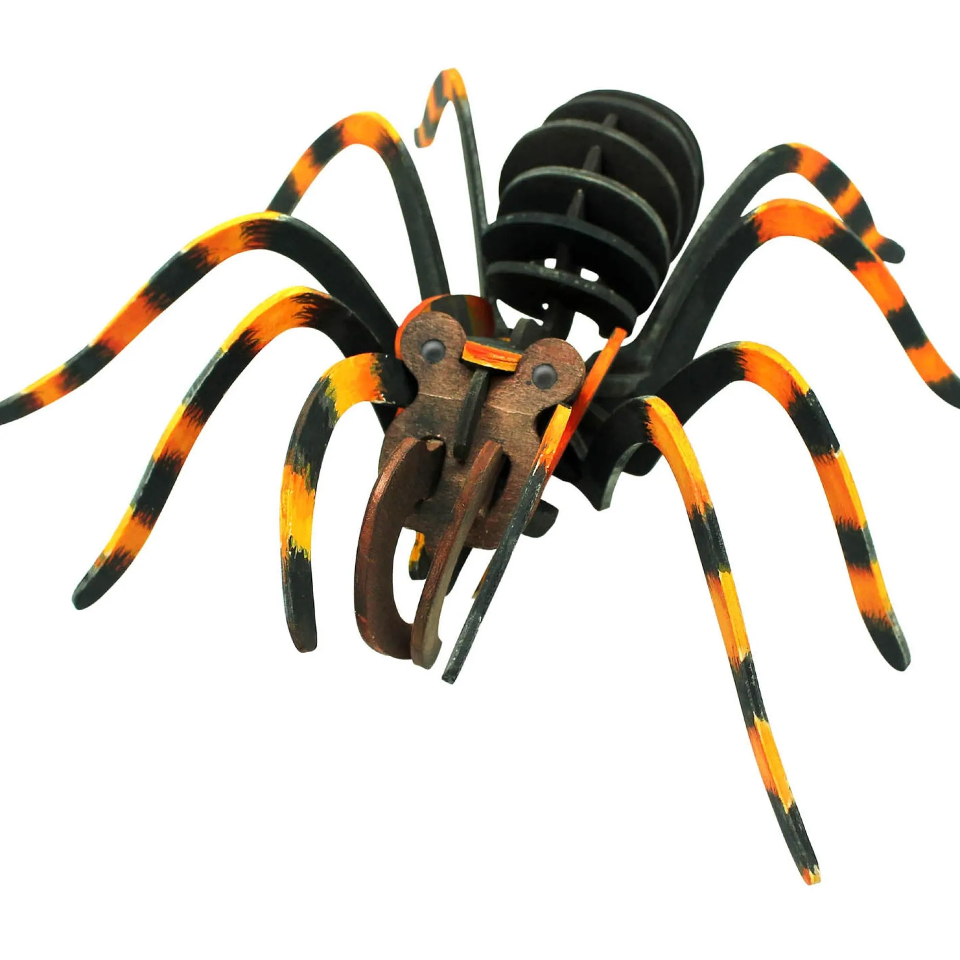 Educators Resource Wild Environmental Science Extreme Spiders Kit - Educational Spider Model Set* Science & Discovery