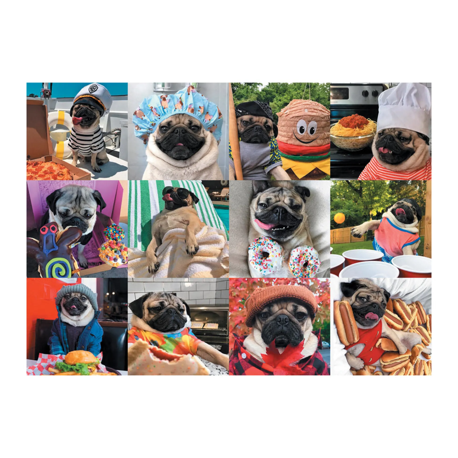 AreYouGame Willow Creek Doug the Pug Life Jigsaw Puzzle - 1000 pc* Puzzles
