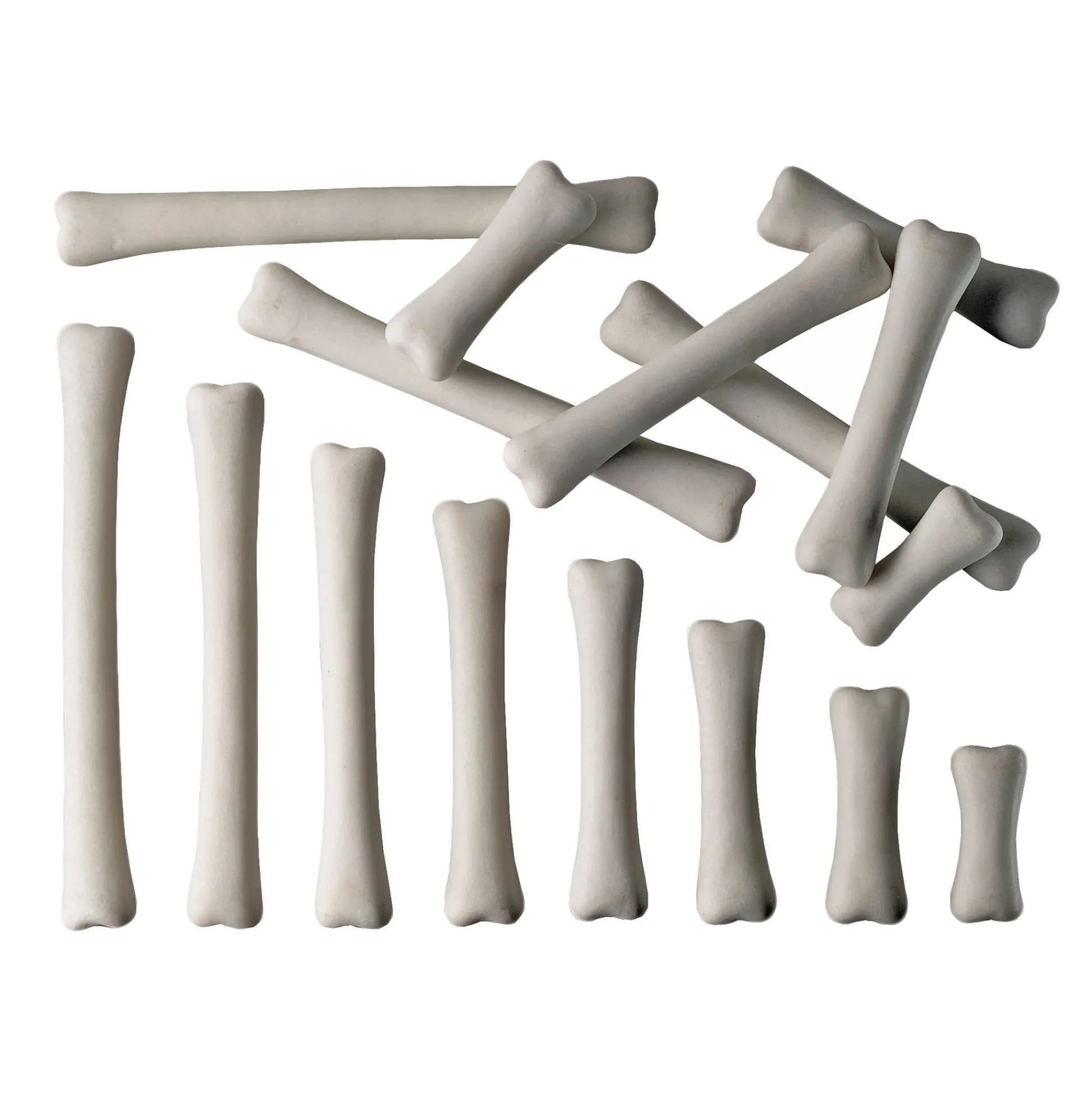 Educators Resource Yellow Door Dinosaur Bones Match & Measure Adventure Set* Preschool Education Toys & Activities