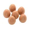 Educators Resource Yellow Door Durable Play Eggs - Set of 6* Kitchens & Play Food|Dress Up