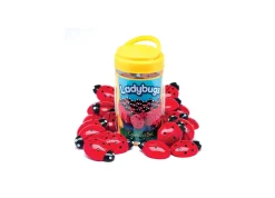 Educators Resource Yellow Door Educational Ladybug Counting Set - Colorful Math Learning Toy for Kids - Pack of 22* Preschool Education Toys & Activities
