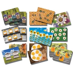 Educators Resource Yellow Door Honey Bee Early Number Cards - Colorful Learning Set of 16* Preschool Education Toys & Activities