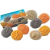 Educators Resource Yellow Door Let's Investigate - Seashore Exploration - Set of 8 Stone Figures* Preschool Education Toys & Activities