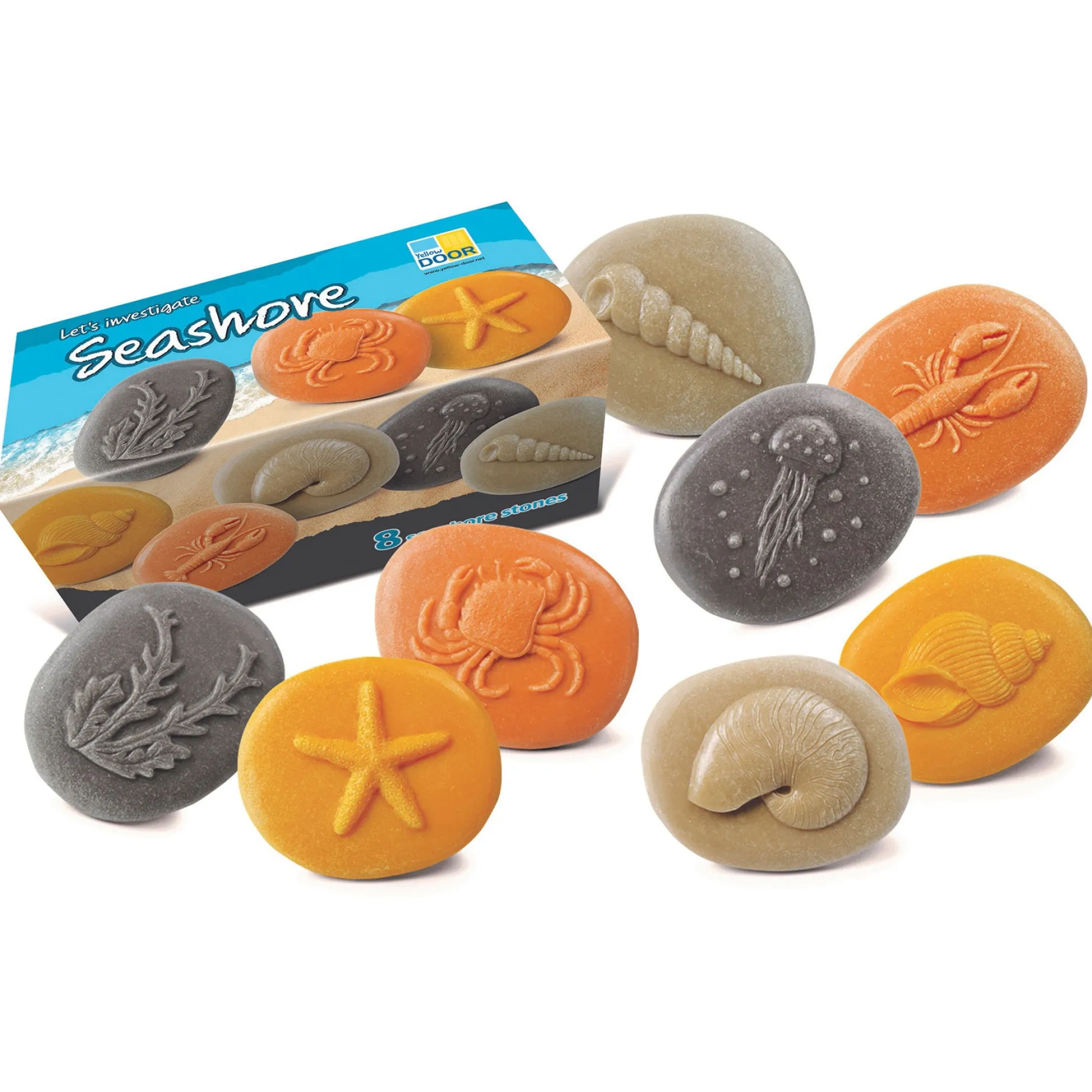 Educators Resource Yellow Door Let's Investigate - Seashore Exploration - Set of 8 Stone Figures* Preschool Education Toys & Activities