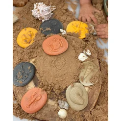 Educators Resource Yellow Door Let's Investigate - Seashore Exploration - Set of 8 Stone Figures* Preschool Education Toys & Activities