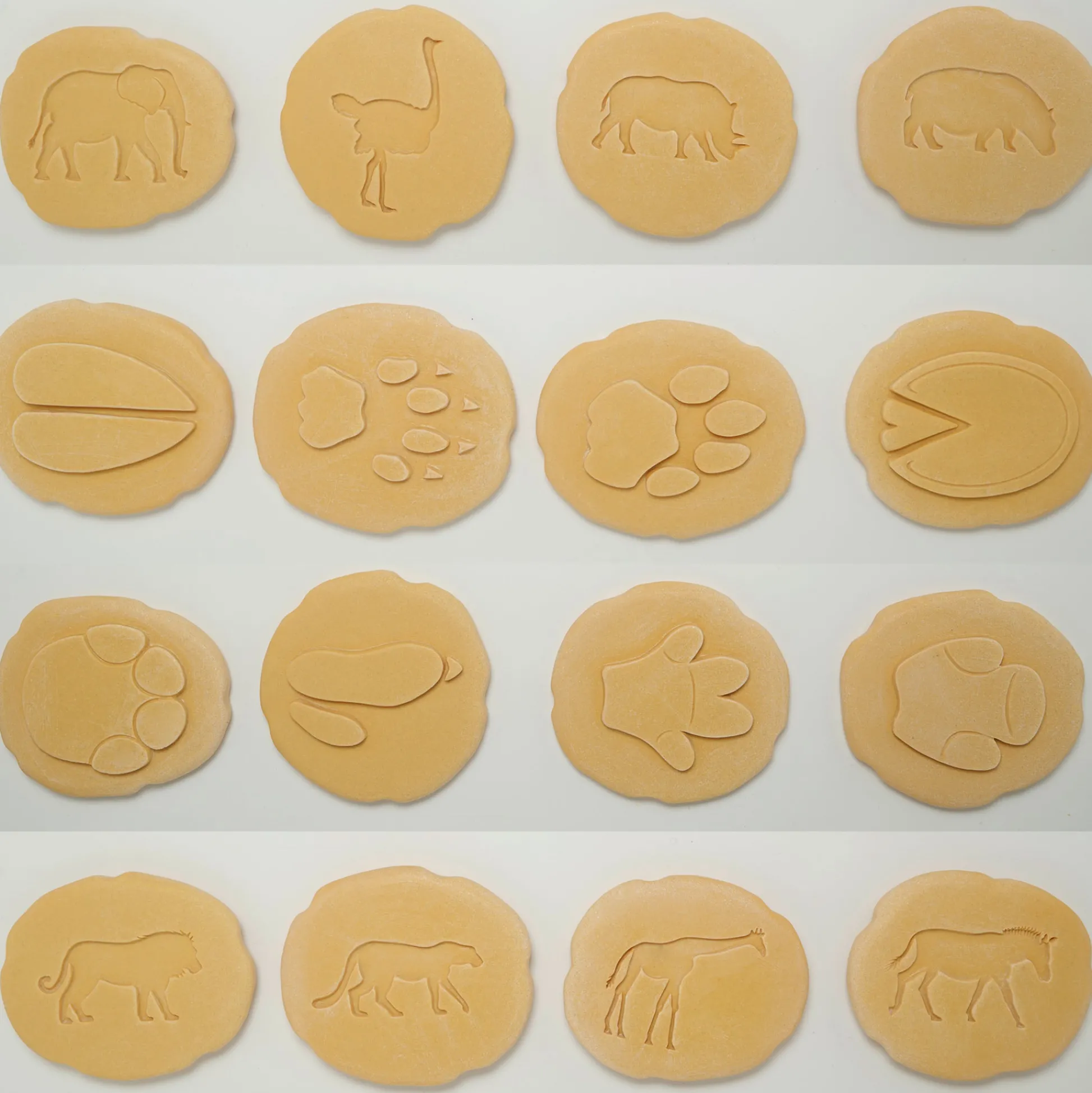 Educators Resource Yellow Door Let's Investigate Safari Footprints - Animal Track Discovery Set* Preschool Education Toys & Activities