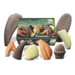 Educators Resource Yellow Door Let's Investigate - Prehistoric Teeth Discovery Set of 8* Science & Discovery